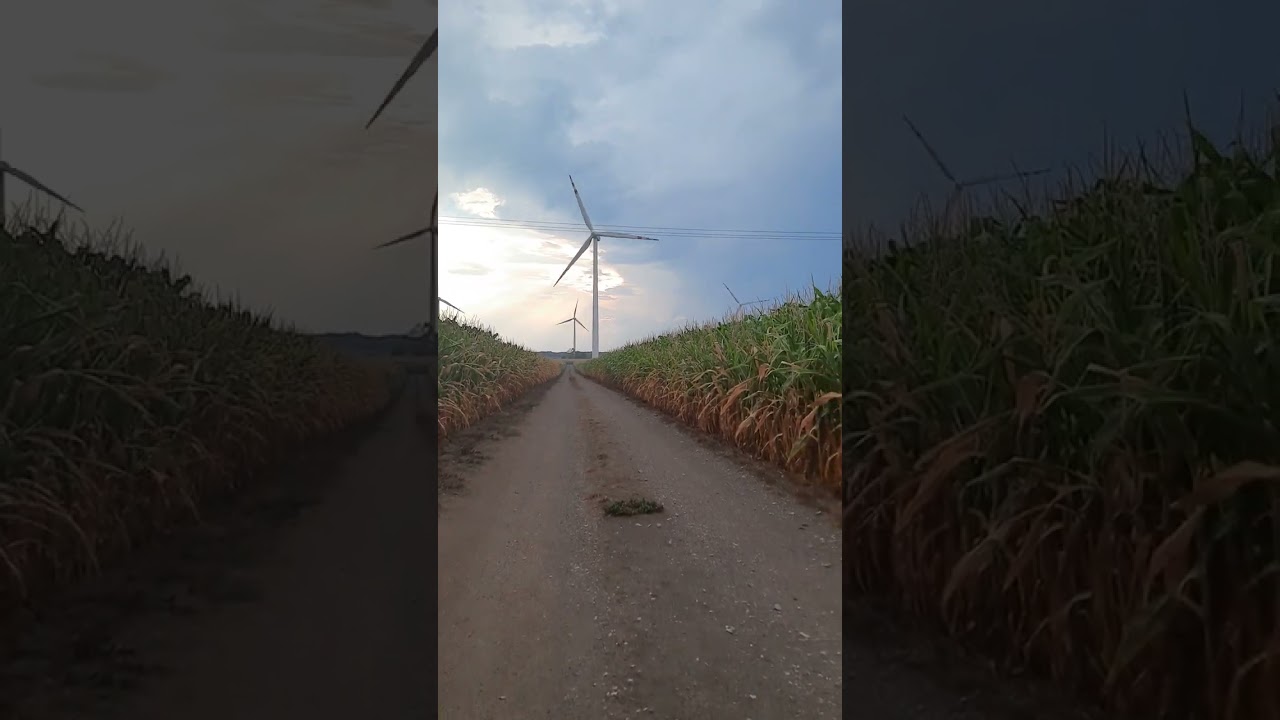 Farma wiatrowa Zagórze, Vestas v80