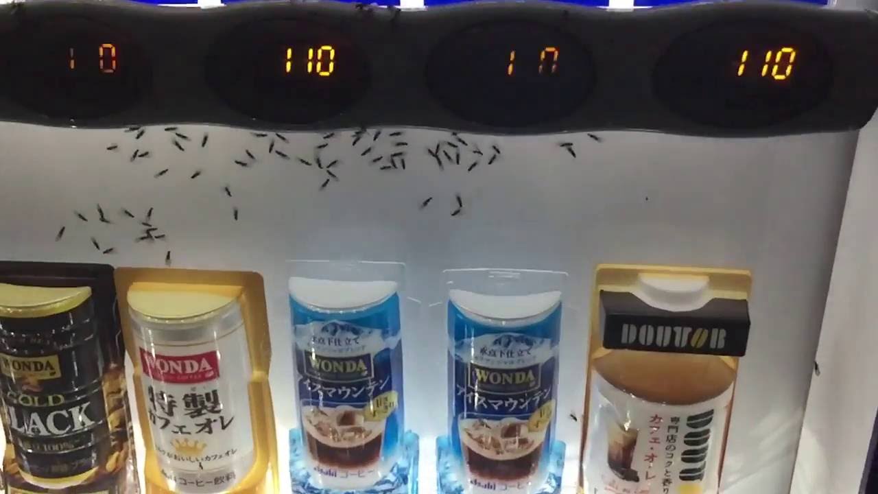 グロ動画注意 投稿 自動販売機が虫だらけだった Youtube