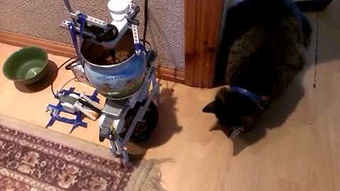 lego MINDSTORMS: automatic cat feeder