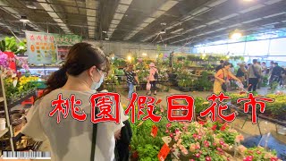 桃園假日花市桃園唯一假日花市台一線上景點 