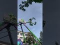 The beast #subscribe #funfair #kirmes #kermis #fun #thrillrides #viral #foire