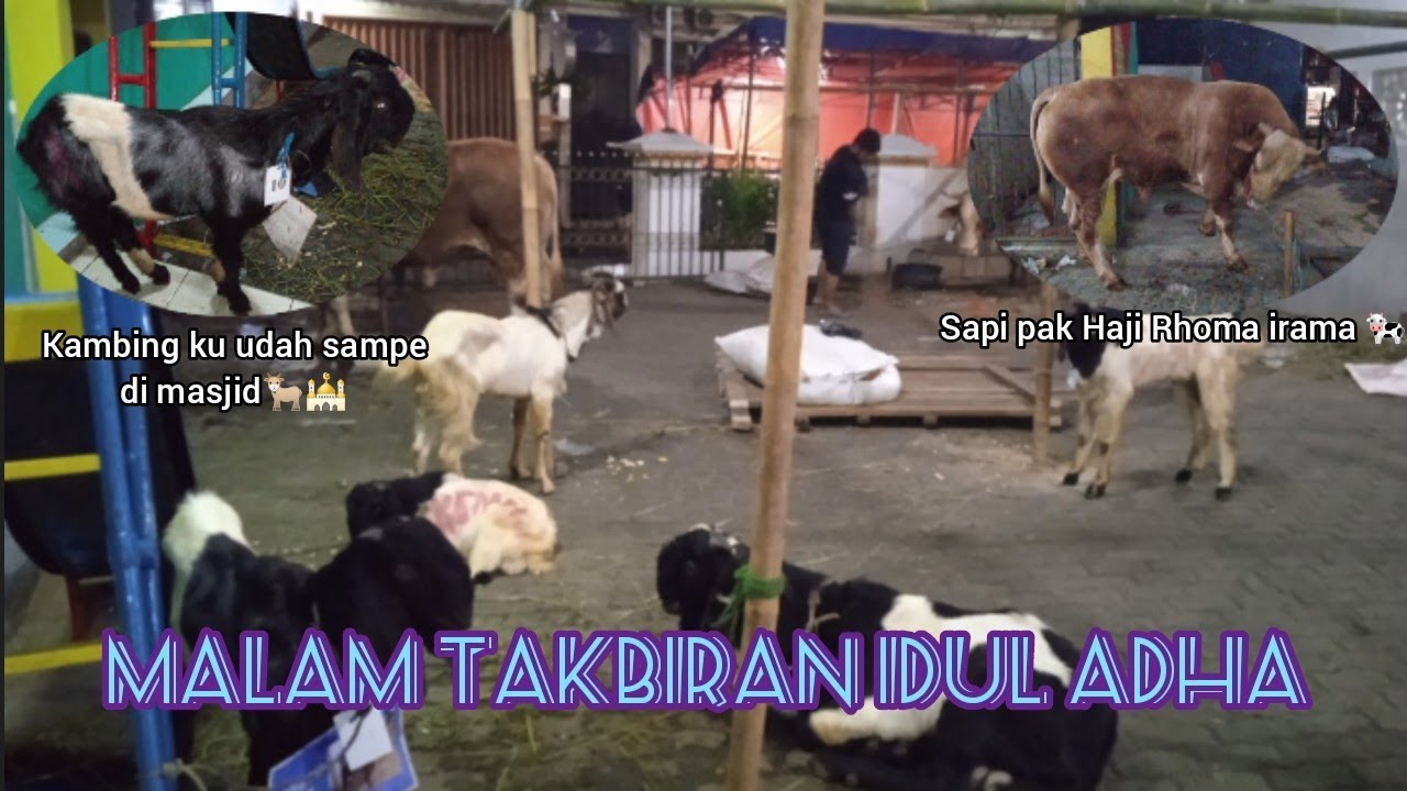 Suasana Malam Takbiran Hari Raya Idul Adha 1446 H Masjid Husnul Khotimah pondok jaya