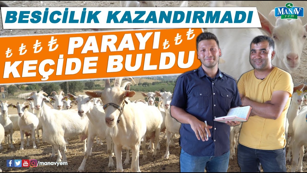 Besicilik Kazandırmadı Parayı Keçide Buldu