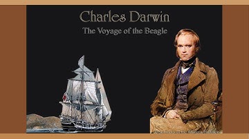 Darwin - Voyage of the Beagle - Chapter 13