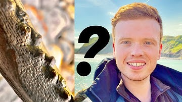 What is THIS Fossil?! Ep 13 | Fossil Hunter