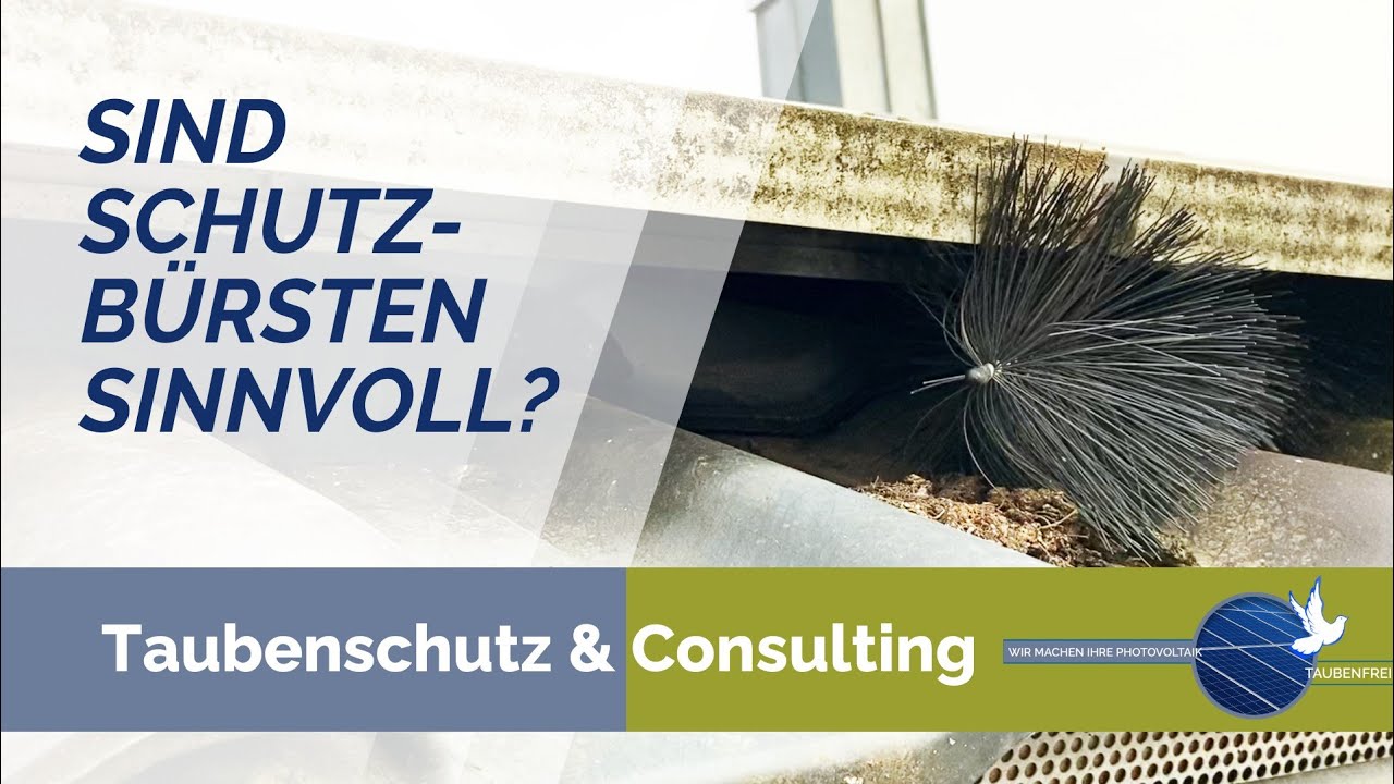 Photovoltaik "Schutzbürsten" fallen durch den Tauben-TÜV.