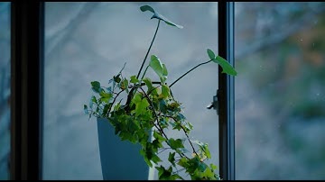 박정원 (Park Jeong Won) - Love Theme Autumn Tale (Autumn In My Heart Soundtrack in 2000)