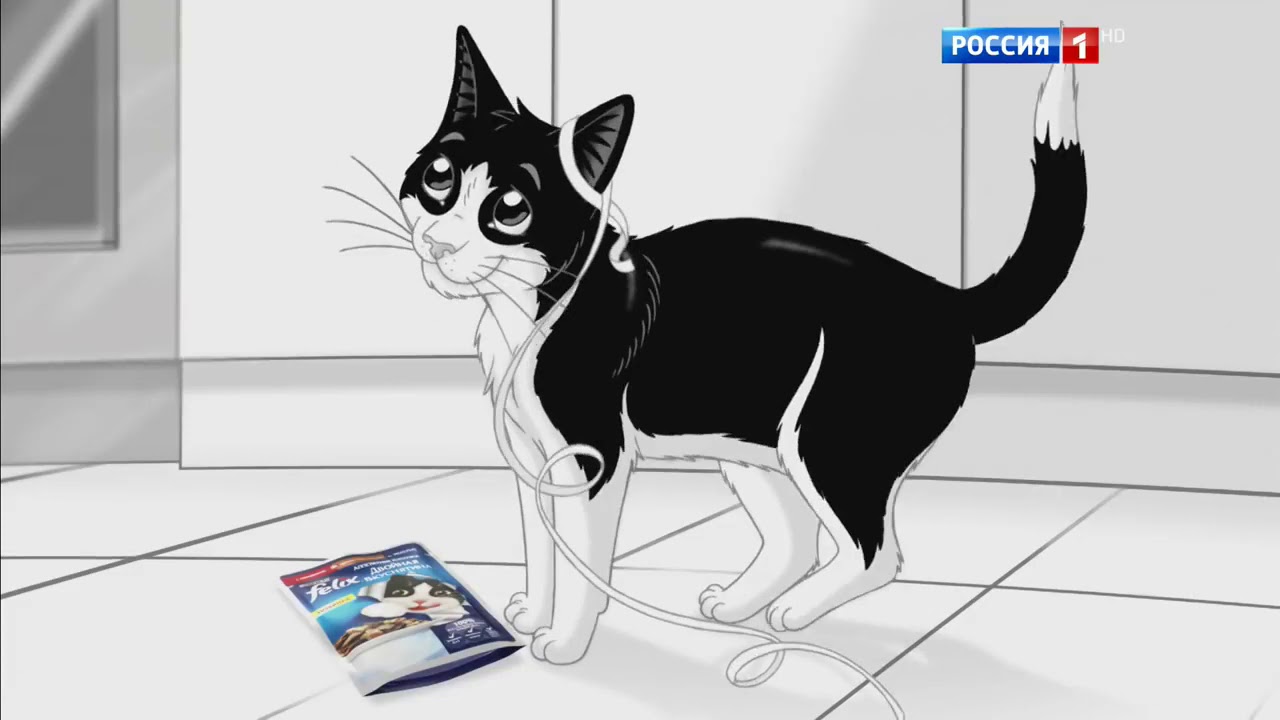 Кошка Феликс Фото