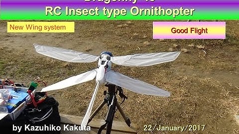 Dragonfly48: Good Flight