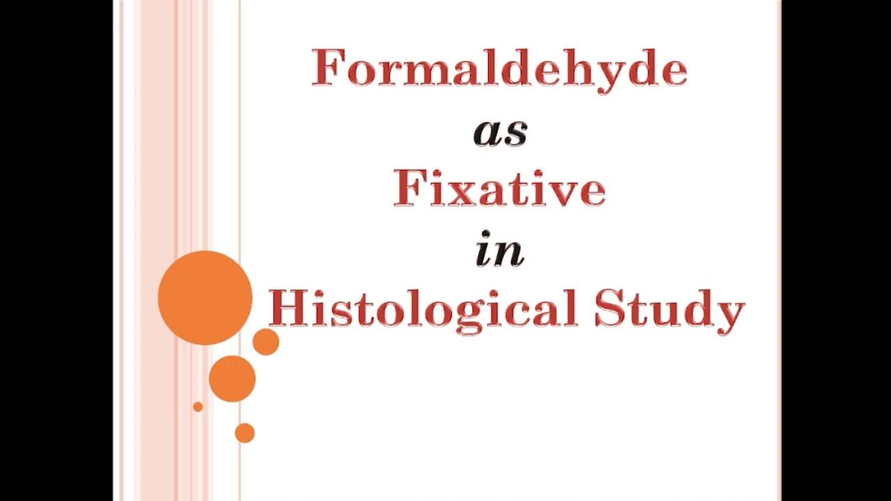 Formaldehyde as Fixative in Histology YouTube