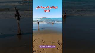 شاطئ الصفيحة الحسيمة شمال_المغرب chamal elhoceima el_jebha المغرب plage