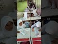 assesment diagnostik kls 4 sdn. 15 surga