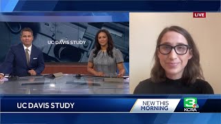 New UC-Davis Study: Gun Violence Increased Substantial In Pandemic's Early Months