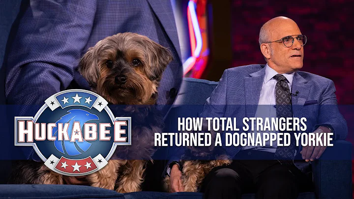 How Total Strangers Returned A DOGNAPPED Yorkie | ...