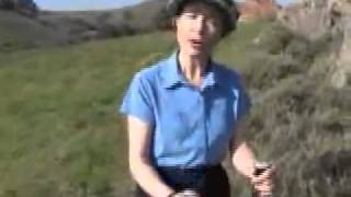 POLES for Hiking, Trekking _ Walking - Benefits.flv