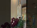 Ave Maria de Maria Goretti our lady of Fatima