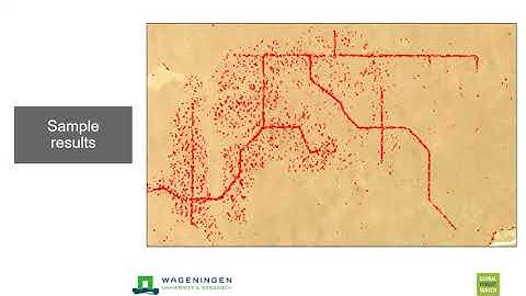 Frontiers in Forest Monitoring: Research Horizons for Global Forest Watch