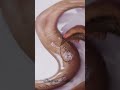 vishu name Tattoo #song #haryanvisong #sorts #viral #newsong #hennatatto #designermehndi #trending