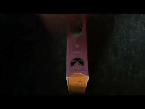 Little Bear: A Kiss For Little Bear 2000 VHS: Review