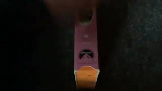 Little Bear A Kiss For Little Bear 2000 Vhs Review