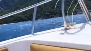 İlyas Yalçıntaş