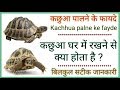 KACHHUA PALNE KE FAYDE // कछुआ  पालने के फायदे // कछुआ घर में रखने से क्या होता है