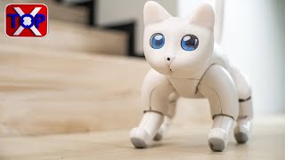New Technological inventions Bionic Cat