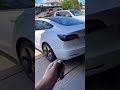 I found a secret tesla easter egg  shorts tesla model3 teslaflex