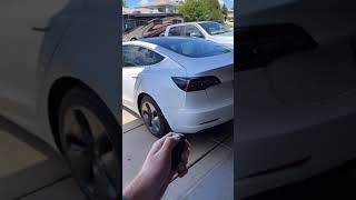 I Found A Secret Tesla Easter Egg