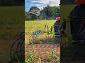 👉 When Tractor Faces Reality 😂🚜#shorts