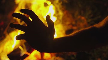 Tsunami  - regurgitator