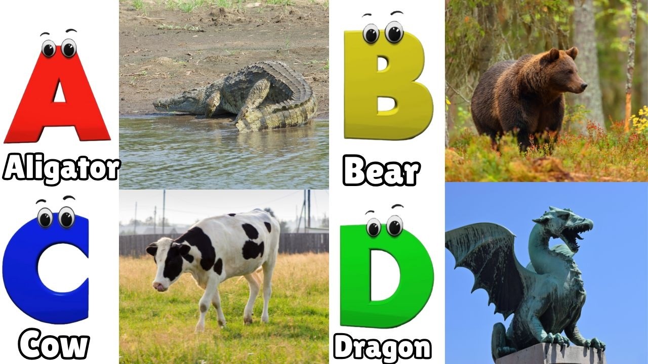 Alphabet Animals Song | Learn the ABC Alphabet Animals Song for Kids ...
