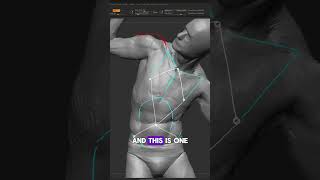 The body has patterns that we can use to help guide our sculpting... #zbrush #anatomy The body has patterns that we can use to help guide our sculpting... #zbrush #anatomy