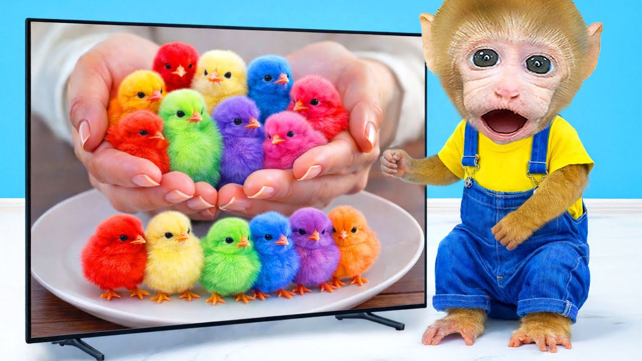 Mono BeBe construye una trampa para atrapar al ladrón de sus gallinas! | MONO BEBE ESP