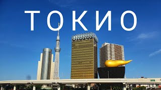 Токио - путеводитель по самому большому городу мира