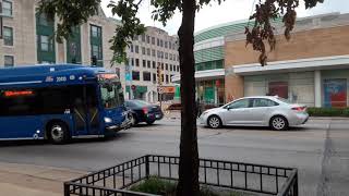 Pace New Flyer XD40 Bus #20410 on The #313!