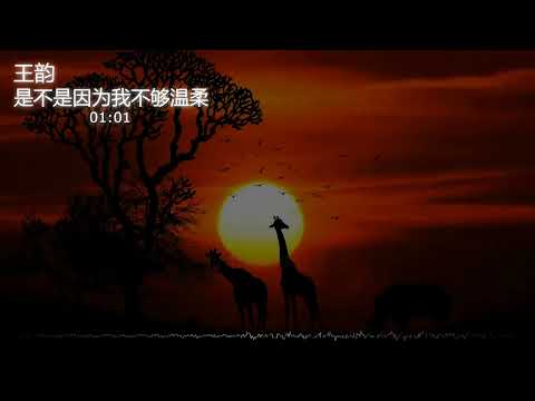 2022華語網絡流行音樂||《是不是因為我不夠溫柔》|| 王韻 || 動態歌詞