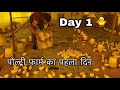 Day - 1 Opening of chicks in my poultry farm , poultry farm 