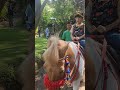 Riding Horse #laguanakindonesia #horse #ridinghorses