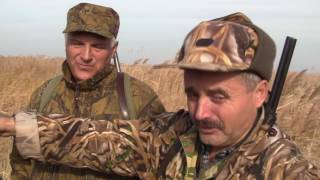 Охотничьи истории. Сезон 1. Охота в плавнях с гончими (2 серия) Охотничьи истории. Сезон 1. Охота в плавнях с гончими (2 серия)