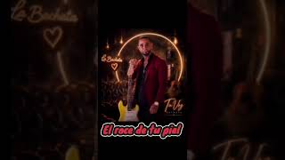 El Roce de tu Piel