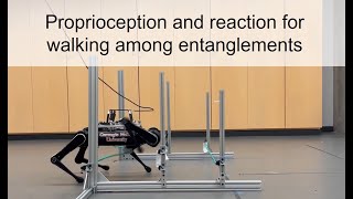 Proprioception and reaction for walking among entanglements