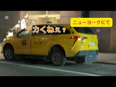 このトヨタ車何？
