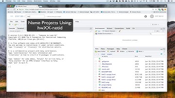 STAT 385 SU18: Naming, Exiting, and Returning to an RStudio Cloud Project