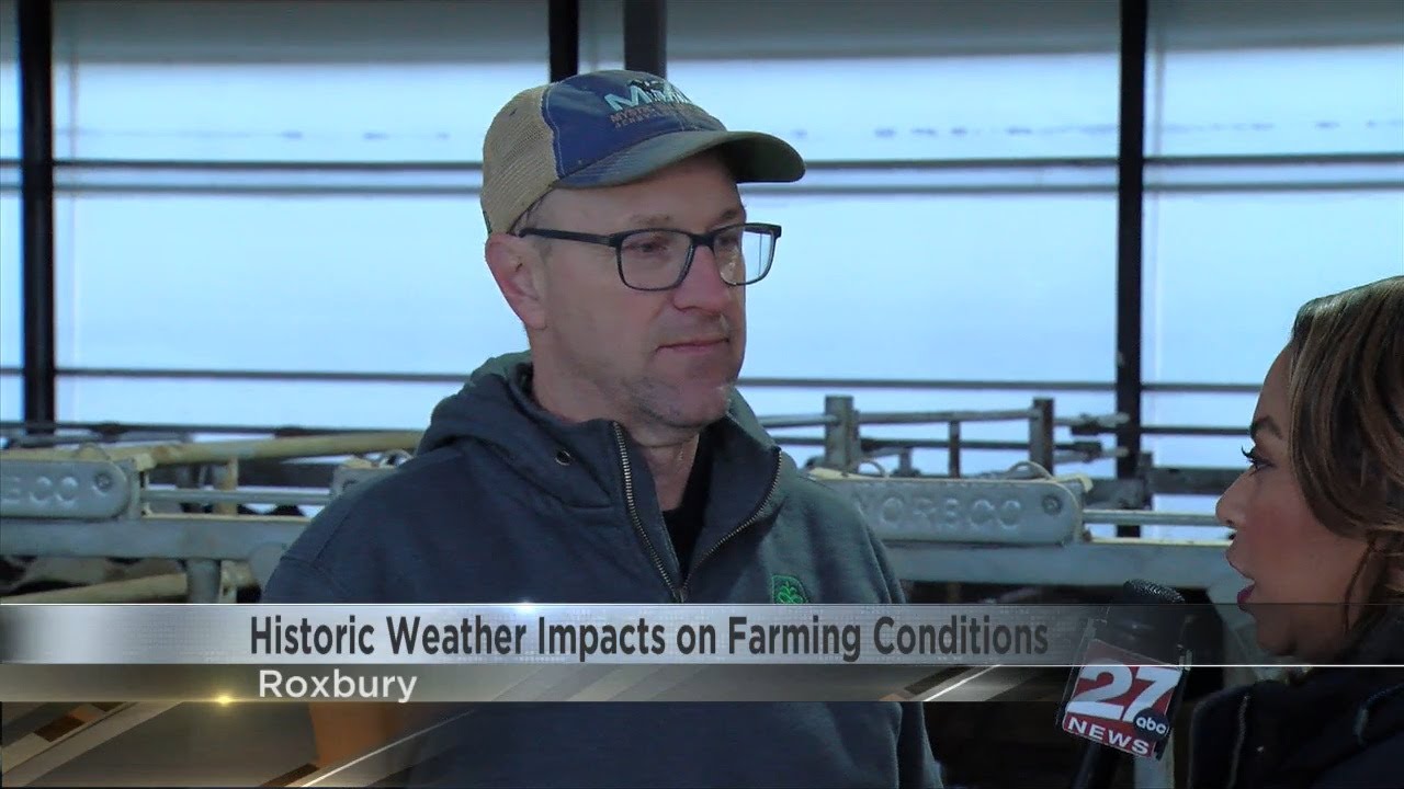 Higher costs and drought impacting dairy farms - YouTube