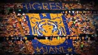 TV Tigres Logo 020212