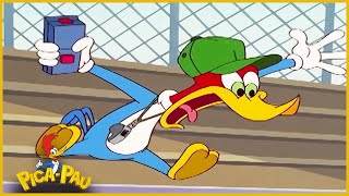 Pica-Pau em Português | O Treinador | Episódio Completo de Pica-Pau | Desenhos Animados