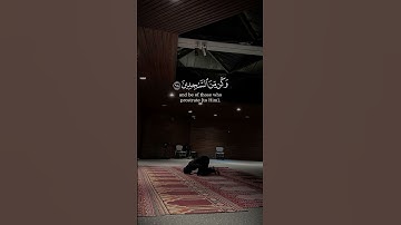 ما تيسر من سورة الحجر || الشيخ ناصر القطامي حفظه الله  #القرآن_الكريم