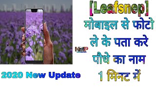 मोबाइल से फाटो ले के कैसे पता करे पौधे का नाम | Mobile Se Photo Le Ke Kese Pta Kre Plants Ka Naam screenshot 1