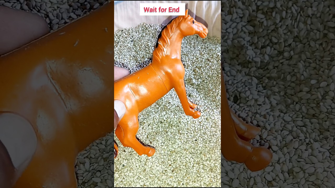 Toy horse Hidden in seeds | Relaxing toy video 🐎